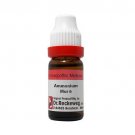 1x Dr. Reckeweg Ammonium Muriaticum 10M CH Dilution 11ml