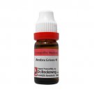 1x Dr Reckeweg Ambra Grisea 1000CH (1M) Dilution 11ml