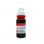 1x Dr Reckeweg Curcuma Longa Q Mother Tincture 20ml