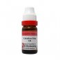1x Dr Reckeweg Caladium Seguinum 10M CH Dilution 11ml