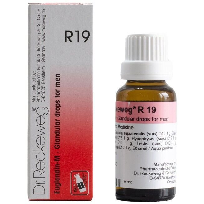 1x Dr Reckeweg Germany R19 Glandular Drops for Men 22ml | 1 Pack