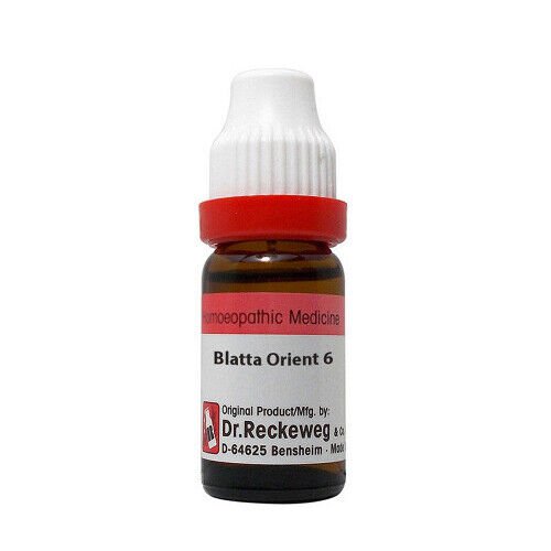 1x Dr Reckeweg Blatta Orientalis CM CH Dilution 11ml