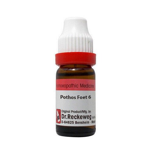 1x Dr Reckeweg Germany Pothos Foetidus 6CH Dilution 11ml