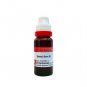 2x Dr Reckeweg Sabal Serrulata Q Mother Tincture 20ml