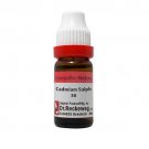 1x Dr Reckeweg Germany Cadmium Sulphuricum 30CH Dilution 11ml