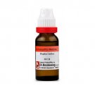1x Dr Reckeweg Germany Daphne Indica 1000CH (1M) Dilution 11ml