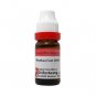 1x Dr Reckeweg Germany Pothos Foetidus 30CH Dilution 11ml