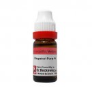 Dr Reckeweg Germany Eupatorium Purpureum 6CH 30CH 200CH 1000CH Dilution 11ml