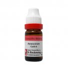 1x Dr. Reckeweg Ammonium Carbonicum 10M CH Dilution 11ml
