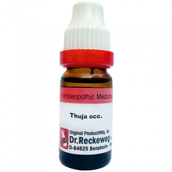 1x Dr Reckeweg Thuja Occidentalis 6CH Dilution 11ml