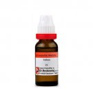 1x Dr Reckeweg Iodium 30CH Dilution 11ml
