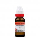1x Dr Reckeweg Rhus Tox 6CH Dilution 11ml
