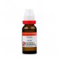 Dr Reckeweg Myristica Sebifera 6CH 30CH 200CH 1M CM Dilution 11ml