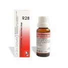 Dr Reckeweg Germany R28 Exhaustion Drops 22ml | 1,2,3,4,5,6,8,10,12,15,20 Pack