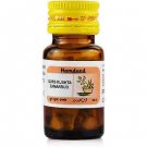 Hamdard Qurs Kushta Zamarud (60tab)