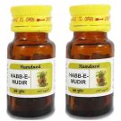 Hamdard Habbe Mudir (15tab, Pack of 2)