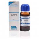 SBL Polygonum Punctatum 1X (Q) (30ml)