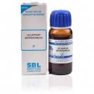 SBL Gelsemium Sempervirens 1X (Q) (30ml)