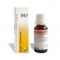 Dr Reckeweg Germany R57 Pulmonary Drops 22ml | 1,2,3,4,5,6,8,10,12,15,20 Pack
