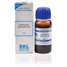 SBL Crataegus Oxyacantha 1X (Q) (30ml)