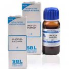SBL Cimicifuga Racemosa 1X (Q) (30ml, Pack of 2)