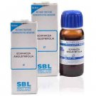SBL Echinacea Angustifolia 1X (Q) (30ml, Pack of 2)