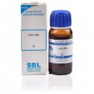 SBL Uva Ursi 1X (Q) (30ml)