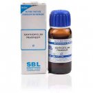 SBL Xanthoxylum Fraxineum 1X (Q) (30ml)