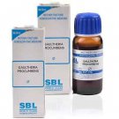 SBL Gaultheria Procumbens (30ml, Pack of 2)