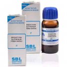 SBL Eriodictyon Glutinosum(Yerba Santa) 1X (Q) (30ml, Pack of 2)