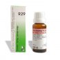 Dr Reckeweg Germany R29 Vertigo Drops 22ml | 1,2,3,4,5,6,8,10,12,15,20 Pack