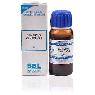 SBL Sambucus Canadensis 1X (Q) (30ml)