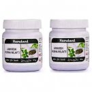 Hamdard Jawarish Pudina Wilayti (125g, Pack of 2)