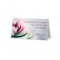 3x Dr Reckeweg Stellaria Media Q Mother Tincture 20ml