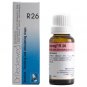 3x Dr Reckeweg Germany R26 Draining & Stimulating Drops 22ml | 3 Pack