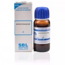SBL Acidum Oxalicum 1X Mother Tincture Q 30ml
