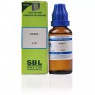 SBL Sumbul 6CH Dilution 30ml