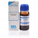 SBL Bryophyllum Calycinum 1X Mother Tincture Q 30ml