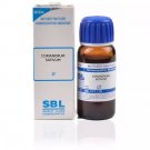 SBL Coriandrum Sativum 1X Mother Tincture Q 30ml