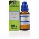 SBL Cassia Fistula 12CH Dilution 30ml