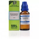 SBL Rhododendron Chrysanthum 6CH Dilution 30ml