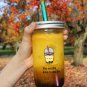Reusable Bubble Tea Cup with Stainless Steel Straw