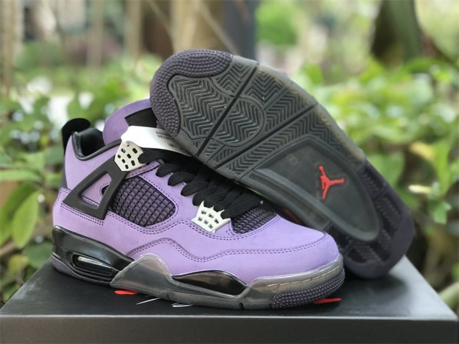 Jordan 4 &acirc;��Purple&acirc;��