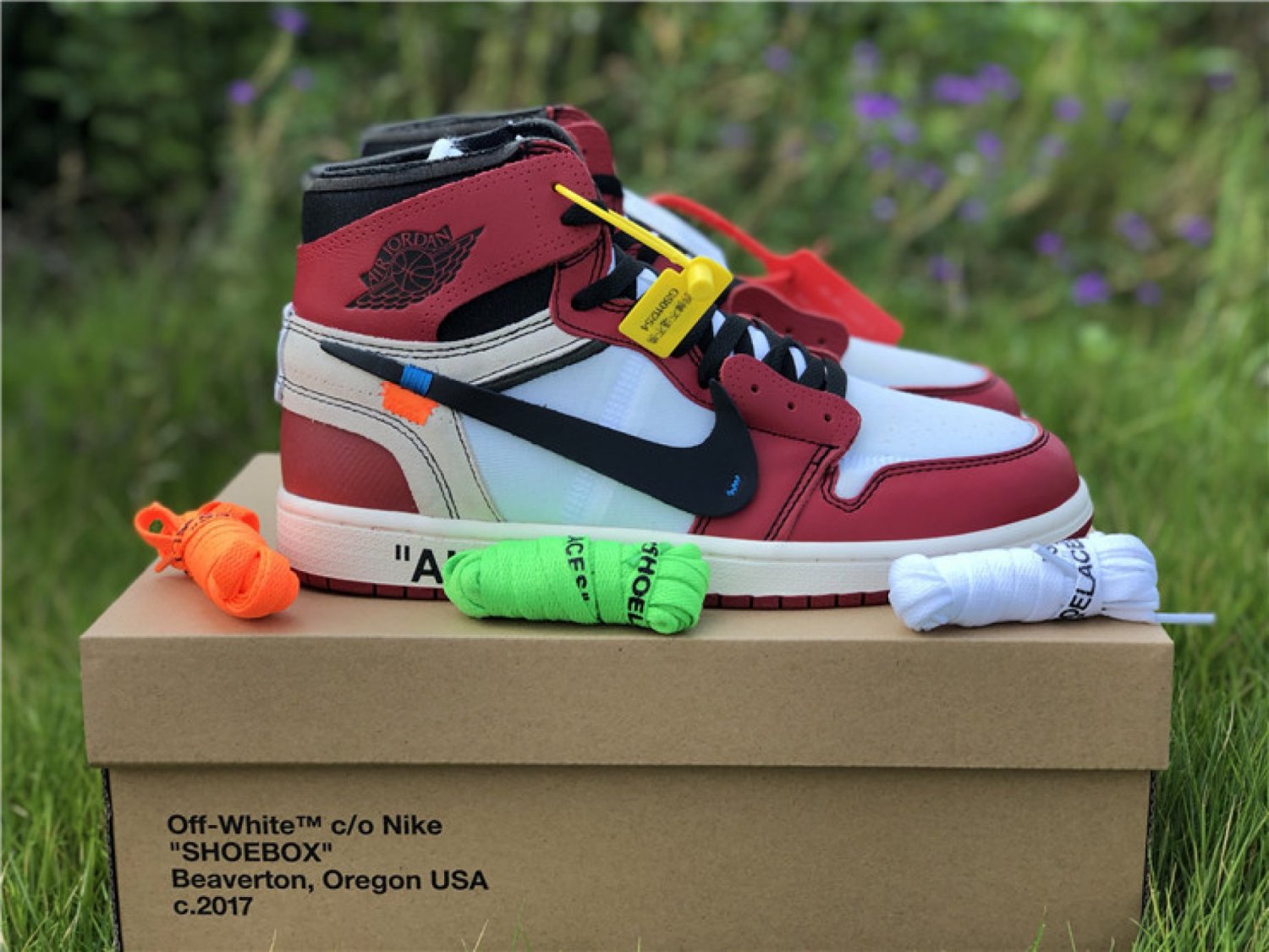 The Ten Off-White Air Jordan 1 Chicago