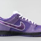 Nike SB Mens Wmns Dunk Low Concepts Purple Lobster