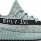 Mens Wmns Yeezy Boost 350 V2 Salt HQ2060