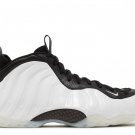 Air Foamposite One Penny PE
