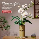 Bouquet Phalaenopsis Flowers Building Blocks Orchid Bricks Toys Home Decoration Bouquet Phalaenopsis Flowers Building Blocks Orchid Bricks Toys Home Decoration