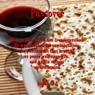 Passover 2 Card