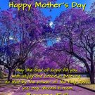 Mother's Day 17 Card
